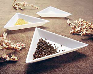 �r�[�Y�g���[